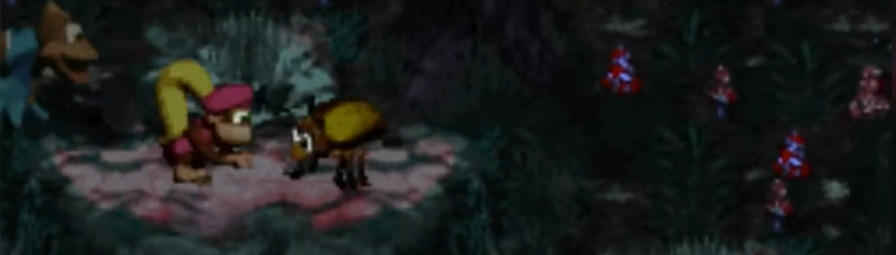 Donkey Kong Country 3 4