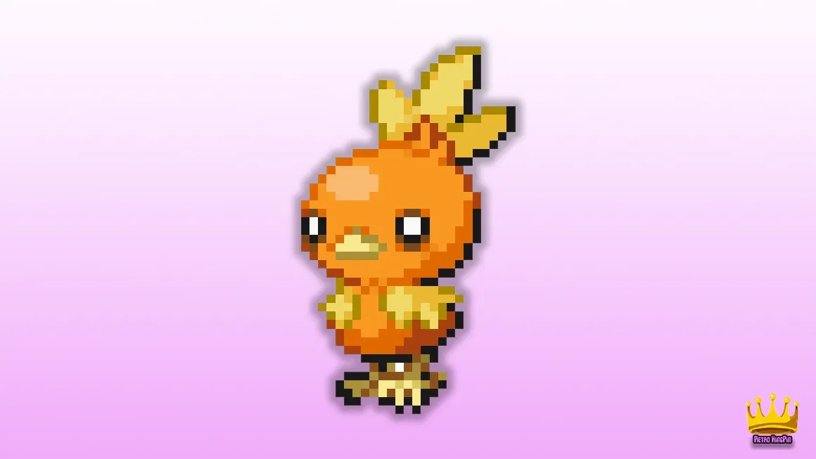 all pokemon starters Torchic