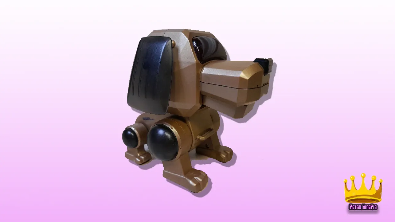 What Could Poo-Chi Do