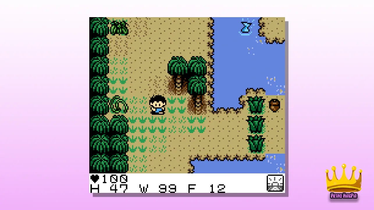 What is the best Game Boy colour emulator reddit