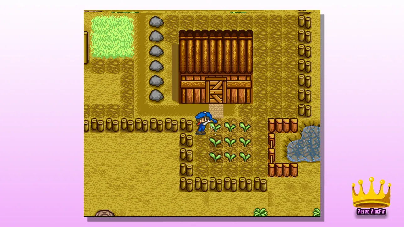 Best Harvest Moon ROM Hacks 7