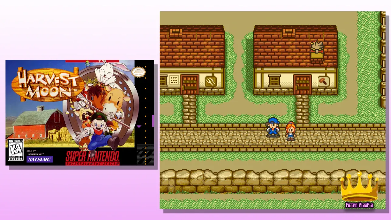 2 Best Harvest Moon ROM Hacks